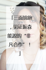 三面锦旗，见证振森能源的“非凡合作”！