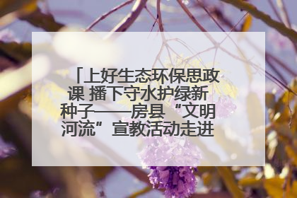 上好生态环保思政课 播下守水护绿新种子——房县“文明河流”宣教活动走进八一希望小学