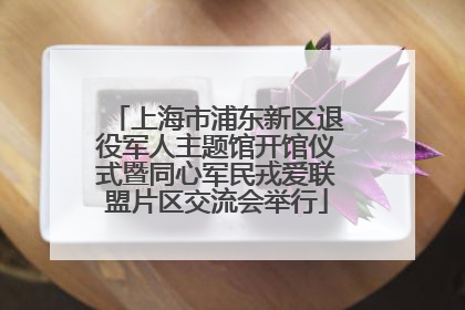 上海市浦东新区退役军人主题馆开馆仪式暨同心军民戎爱联盟片区交流会举行