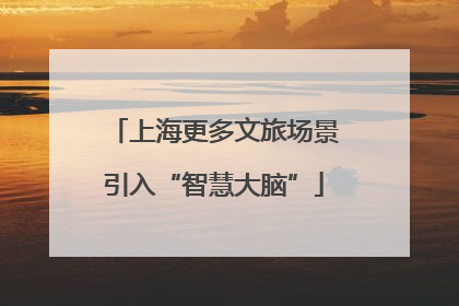 上海更多文旅场景引入“智慧大脑”