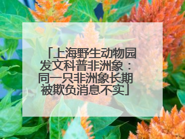 上海野生动物园发文科普非洲象：同一只非洲象长期被欺负消息不实