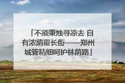 不须秉烛寻凉去 自有浓荫覆长街——郑州城管精细呵护林荫路