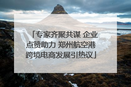 专家齐聚共谋 企业点赞助力 郑州航空港跨境电商发展引热议