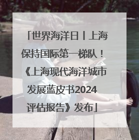 世界海洋日丨上海保持国际第一梯队！《上海现代海洋城市发展蓝皮书2024评估报告》发布