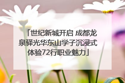 世纪新城开启 成都龙泉驿光华东山学子沉浸式体验72行职业魅力
