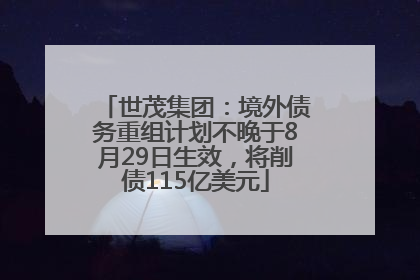 世茂集团：境外债务重组计划不晚于8月29日生效，将削债115亿美元