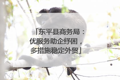 东平县商务局：优服务助企纾困，多措施稳定外贸