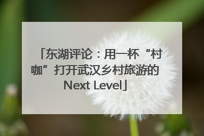 东湖评论：用一杯“村咖”打开武汉乡村旅游的Next Level