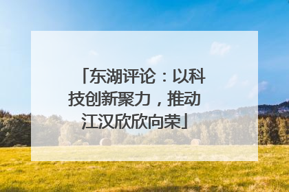 东湖评论：以科技创新聚力，推动江汉欣欣向荣
