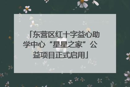 东营区红十字益心助学中心“星星之家”公益项目正式启用
