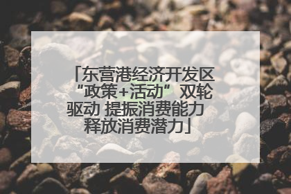 东营港经济开发区“政策+活动”双轮驱动 提振消费能力 释放消费潜力
