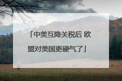 中美互降关税后 欧盟对美国更硬气了