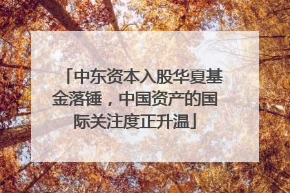 中东资本入股华夏基金落锤，中国资产的国际关注度正升温