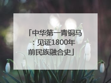 中华第一青铜马：见证1800年前民族融合史