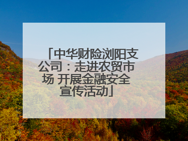 中华财险浏阳支公司：走进农贸市场 开展金融安全宣传活动