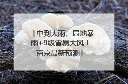 中到大雨、局地暴雨+9级雷暴大风！南京最新预测