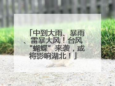 中到大雨、暴雨、雷暴大风！台风“蝴蝶”来袭，或将影响湖北！