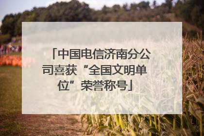 中国电信济南分公司喜获“全国文明单位”荣誉称号
