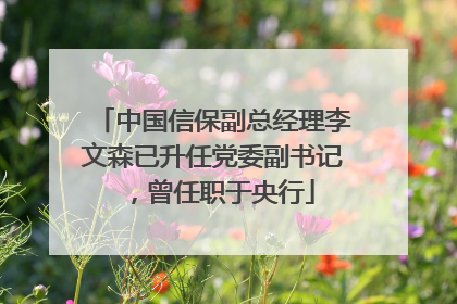 中国信保副总经理李文森已升任党委副书记，曾任职于央行