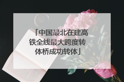 中国最北在建高铁全线最大跨度转体桥成功转体