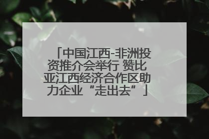 中国江西-非洲投资推介会举行 赞比亚江西经济合作区助力企业“走出去”