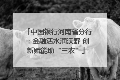 中国银行河南省分行：金融活水润沃野 创新赋能助“三农”