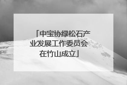 中宝协绿松石产业发展工作委员会在竹山成立