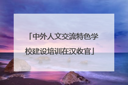 中外人文交流特色学校建设培训在汉收官