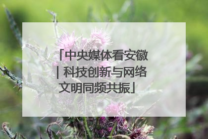 中央媒体看安徽｜科技创新与网络文明同频共振