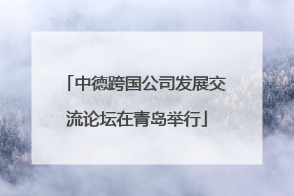 中德跨国公司发展交流论坛在青岛举行