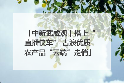 中新武威观｜搭上“直播快车” 古浪优质农产品“云端”走俏