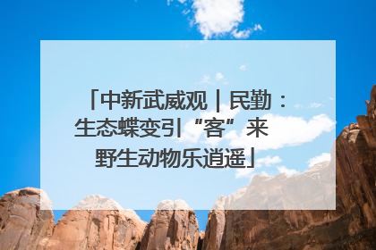 中新武威观｜民勤：生态蝶变引“客”来 野生动物乐逍遥