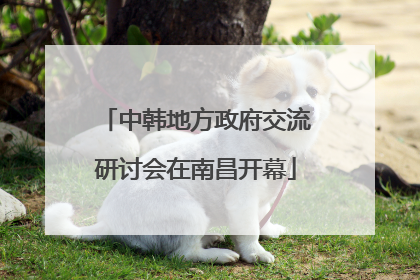 中韩地方政府交流研讨会在南昌开幕