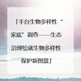 丰台生物多样性“家底”调查——生态治理绘就生物多样性保护新图景