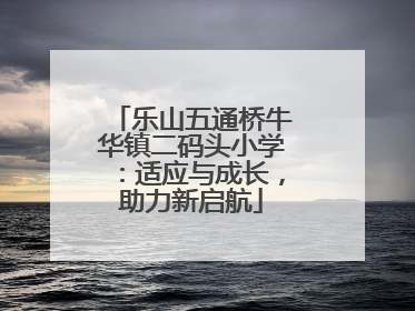 乐山五通桥牛华镇二码头小学：适应与成长，助力新启航