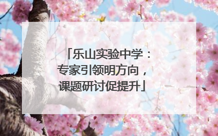 乐山实验中学：专家引领明方向，课题研讨促提升