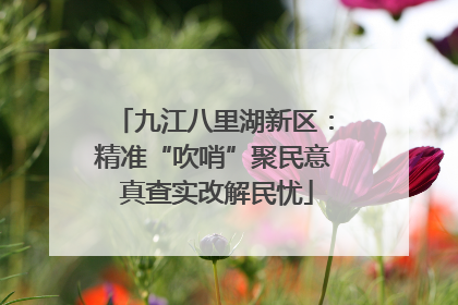 九江八里湖新区：精准“吹哨”聚民意 真查实改解民忧