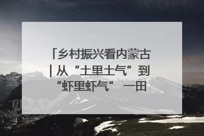 乡村振兴看内蒙古｜从“土里土气”到“虾里虾气” 一田双收模式火出圈