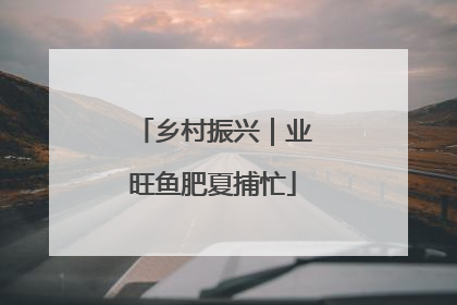 乡村振兴｜业旺鱼肥夏捕忙
