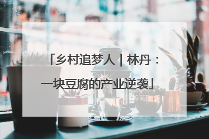 乡村追梦人｜林丹：一块豆腐的产业逆袭