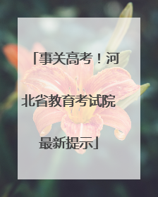 事关高考！河北省教育考试院最新提示