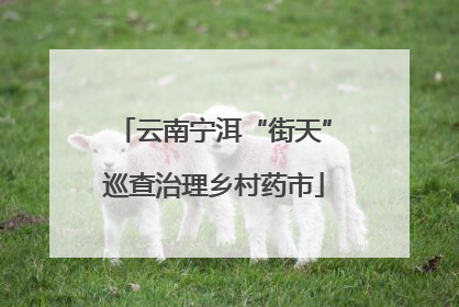 云南宁洱“街天”巡查治理乡村药市