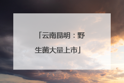 云南昆明：野生菌大量上市