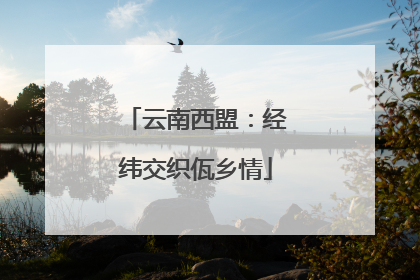 云南西盟：经纬交织佤乡情
