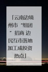 云南边境州市“组团”招商 边民互市落地加工成投资热点