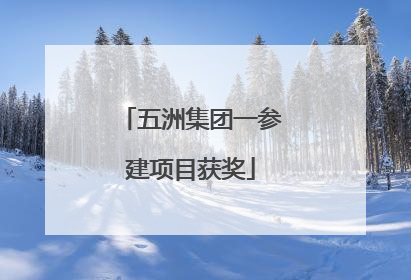 五洲集团一参建项目获奖