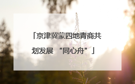 京津冀蒙四地青商共划发展 “同心舟”