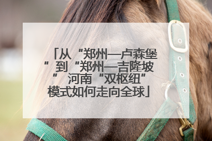 从“郑州—卢森堡”到“郑州—吉隆坡” 河南“双枢纽”模式如何走向全球
