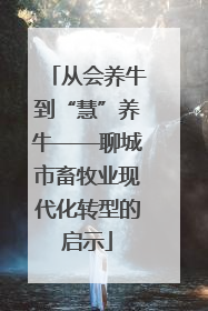 从会养牛到“慧”养牛——聊城市畜牧业现代化转型的启示