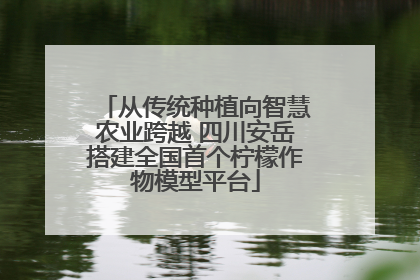 从传统种植向智慧农业跨越 四川安岳搭建全国首个柠檬作物模型平台